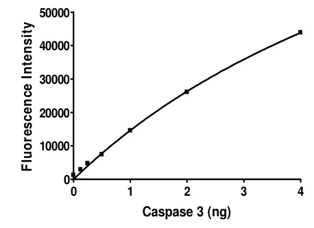 Functional Studies - Recombinant human Cleaved Caspase-3 protein (His tag C-Terminus) (AB198447)