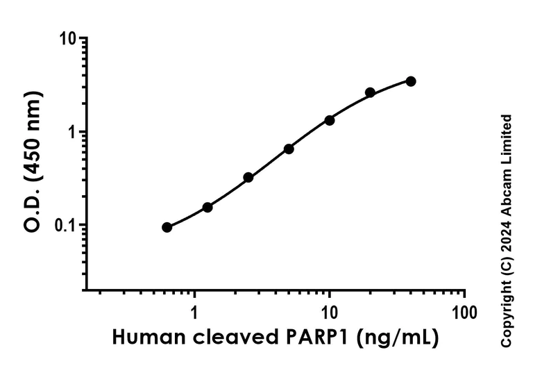 Sandwich ELISA - Recombinant Human Cleaved PARP1 Protein Standard (His tag) (AB323044)
