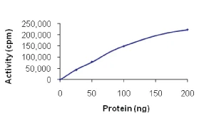 Functional Studies - Recombinant human CLK2 protein (AB63190)