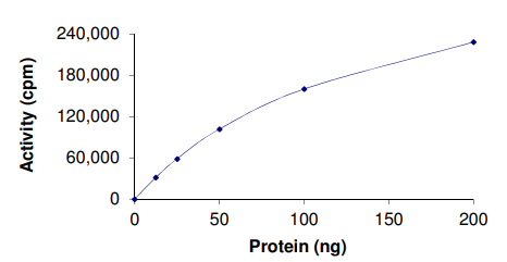 Recombinant human CLK2 protein