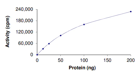 Functional Studies - Recombinant human CLK2 protein (AB63190)