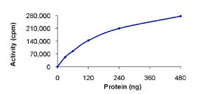 Functional Studies - Recombinant human CLK3 protein (AB85759), expandable thumbnail