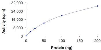 Functional Studies - Recombinant human CLK4 protein (AB204144)