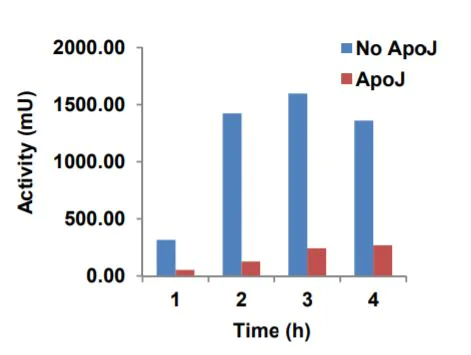 Functional Studies - Recombinant human Clusterin protein (Active) (AB285909)