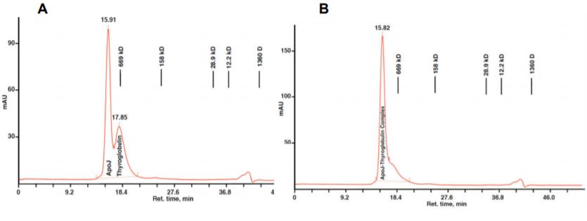Recombinant human Clusterin protein (Active)