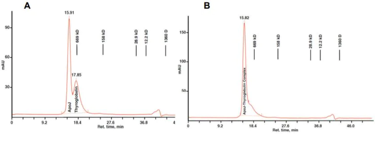 Size Exclusion Chromatography - Recombinant human Clusterin protein (Active) (AB285909)