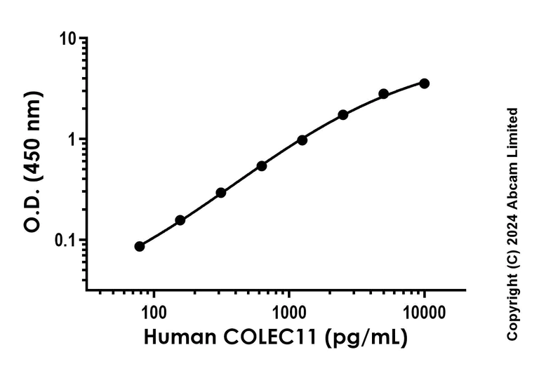 Sandwich ELISA - Recombinant Human COLEC11 Protein Standard (AB316667)
