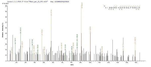 Mass Spectrometry - Recombinant Human COLEC11 protein (Tagged) (AB267916)