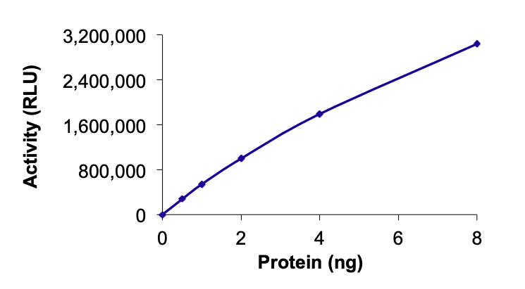 Functional Studies - Recombinant human COMT protein (Active) (AB268426), expandable thumbnail