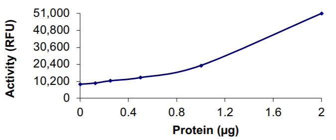 Functional Studies - Recombinant human coronavirus SARS-CoV-2 3CL protease protein (Active) (AB277614), expandable thumbnail