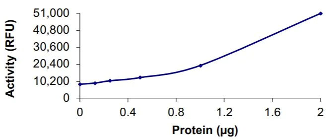 Functional Studies - Recombinant human coronavirus SARS-CoV-2 3CL protease protein (Active) (AB277614)