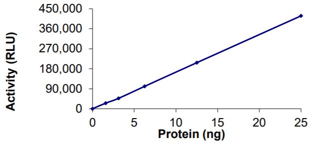 Recombinant human coronavirus SARS-CoV-2 Nsp14 methyltransferase protein (Active)