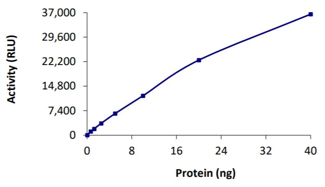 Functional Studies - Recombinant human coronavirus SARS-CoV-2 PLpro protein (Active) (AB277615)