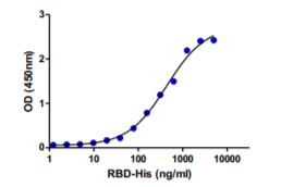 Functional Studies - Recombinant human coronavirus SARS-CoV-2 Spike Glycoprotein RBD (Active) (AB273065), expandable thumbnail