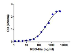 Functional Studies - Recombinant human coronavirus SARS-CoV-2 Spike Glycoprotein RBD (Active) (AB273065)