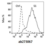 Functional Studies - Recombinant human coronavirus SARS-CoV-2 Spike Glycoprotein S1 (Active) (AB273067), expandable thumbnail