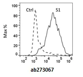 Functional Studies - Recombinant human coronavirus SARS-CoV-2 Spike Glycoprotein S1 (Active) (AB273067)