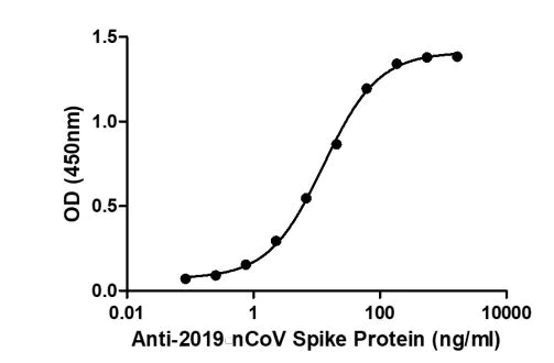 ELISA - Recombinant human coronavirus SARS-CoV-2 Spike Glycoprotein S1 (mutated D614G) (Active) (AB281470)