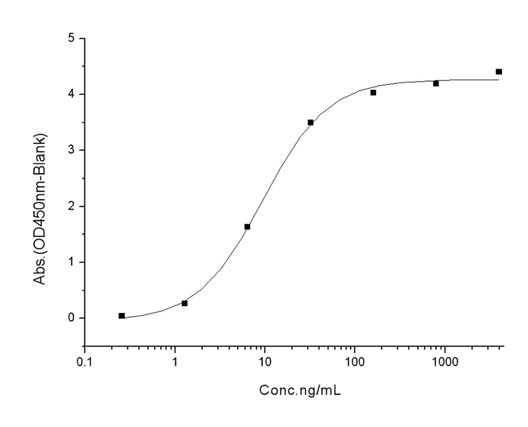 ELISA - Recombinant human coronavirus SARS-CoV-2 Spike RBD (mutated E484Q) protein (Active) (AB289615)
