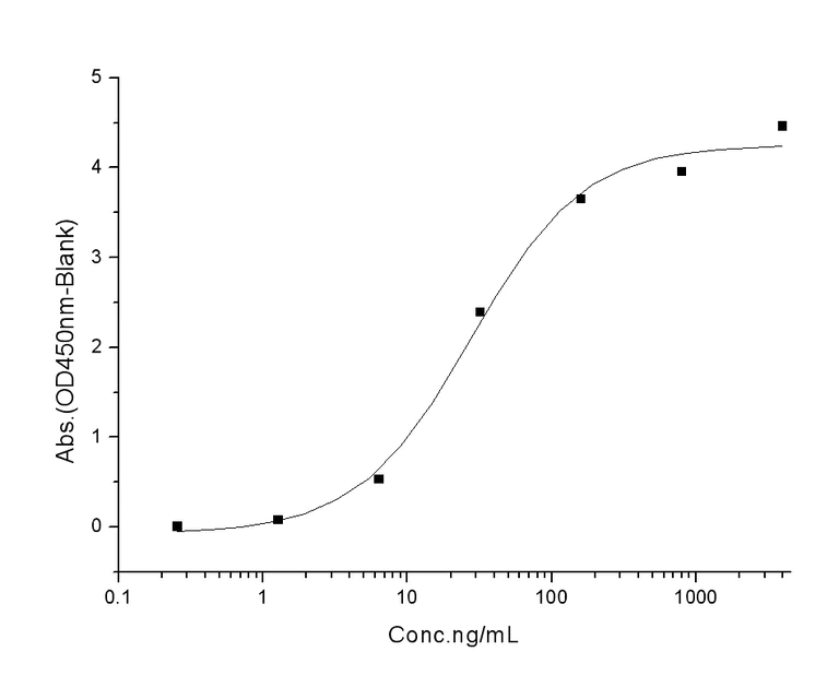 ELISA - Recombinant human coronavirus SARS-CoV-2 Spike RBD (mutated K417N + E484K + N501Y) protein (Active) (AB289609)