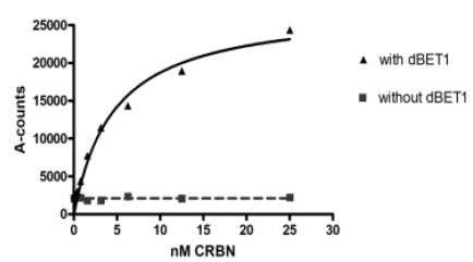 Functional Studies - Recombinant Human CRBN + DDB1 + CUL-4A + RBX1 protein (DDDDK tag N-Terminus, His tag N-Terminus) (AB271467)