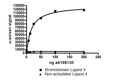 Functional Studies - Recombinant human CREBBP protein (AB198130)