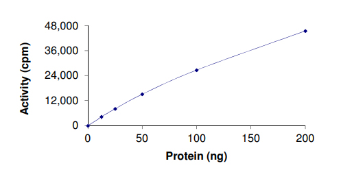 Functional Studies - Recombinant human CREBBP protein (AB167964)