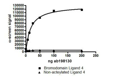 Functional Studies - Recombinant human CREBBP protein (GST tag N-Terminus) (AB198130)