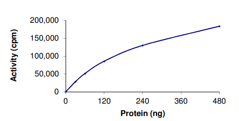 Functional Studies - Recombinant human CSF-1-R protein (AB56259), expandable thumbnail