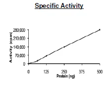 Functional Studies - Recombinant human CSF-1-R protein (Active) (GST tag N-Terminus + 6x His tag N-Terminus) (AB271478)