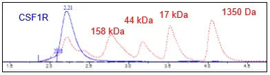 Size Exclusion Chromatography - Recombinant Human CSF-1-R protein (Fc tag C-Terminus + Avi tag C-Terminus) (AB271476)