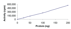Functional Studies - Recombinant human CSK protein (AB60764)