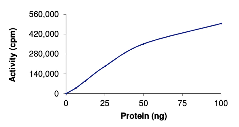 Functional Studies - Recombinant human CSK protein (Active) (AB268428)