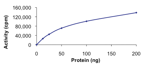 Recombinant human CSNK1G1 protein (Active)