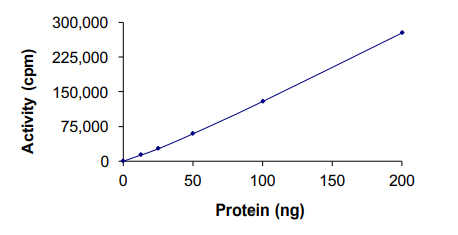 Recombinant human CSNK2A1 protein