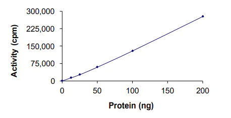 Functional Studies - Recombinant human CSNK2A1 protein (AB60763)