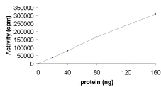 Functional Studies - Recombinant human CSNK2A1 protein (GST tag N-Terminus) (AB60763)