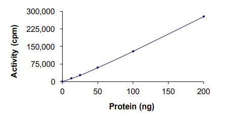 Functional Studies - Recombinant human CSNK2A1 protein (GST tag N-Terminus) (AB60763)