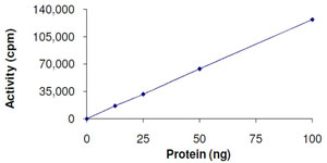 Functional Studies - Recombinant human CSNK2A2 protein (AB105125)