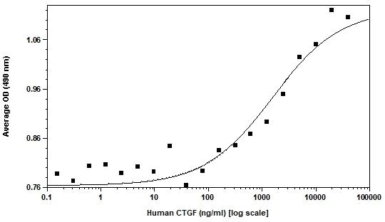 Functional Studies - Recombinant human CTGF protein (Active) (AB269222)
