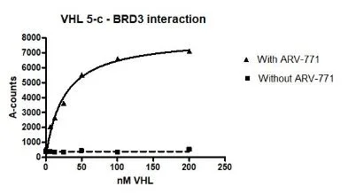 Functional Studies - Recombinant Human CUL-2 + Elongin-B + Elongin-C + RBX1 + VHL protein (6x His N-Term, DDDDK N-Term) (AB271787)