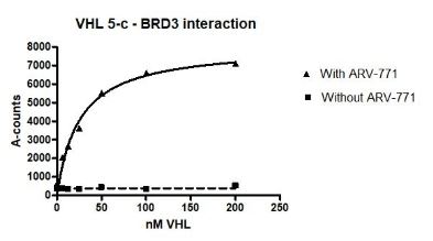 Functional Studies - Recombinant Human CUL-2 + Elongin-B + Elongin-C + RBX1 + VHL protein (Tagged) (AB271787), expandable thumbnail