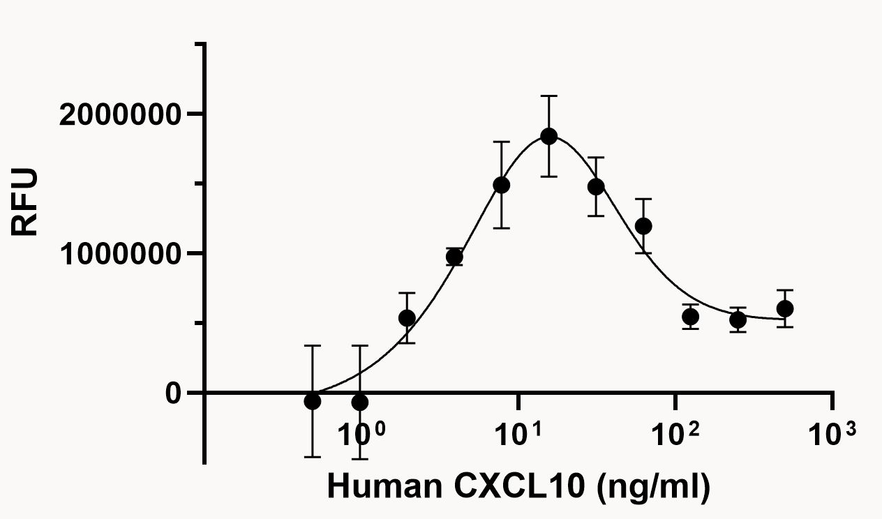 Functional Studies - Recombinant human CXCL10/IP10 protein (Active) (AB280332)