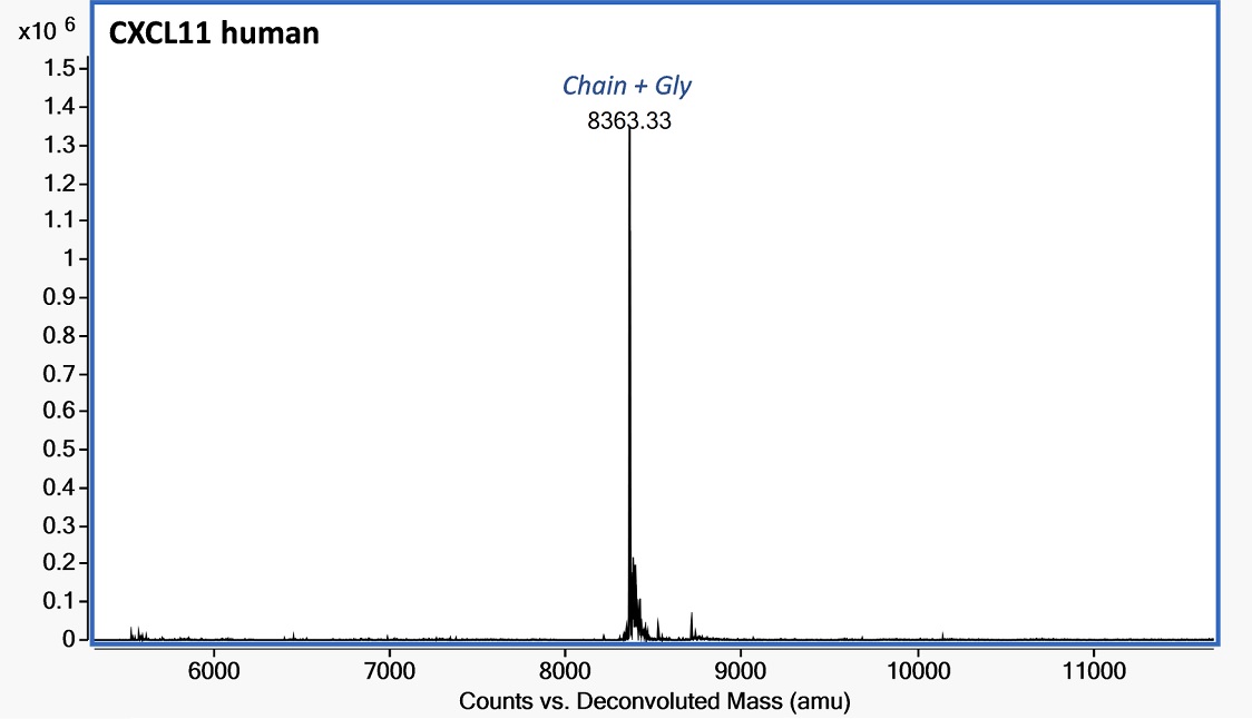 Mass Spectrometry - Recombinant Human CXCL11 Protein (Active) (AB283901), expandable thumbnail