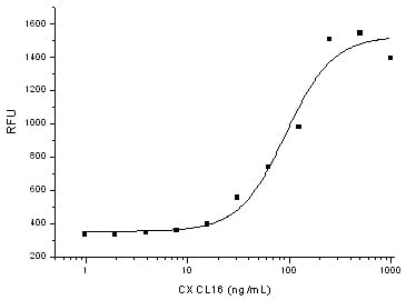 Functional Studies - Recombinant human CXCL16 protein (His tag) (AB276323)