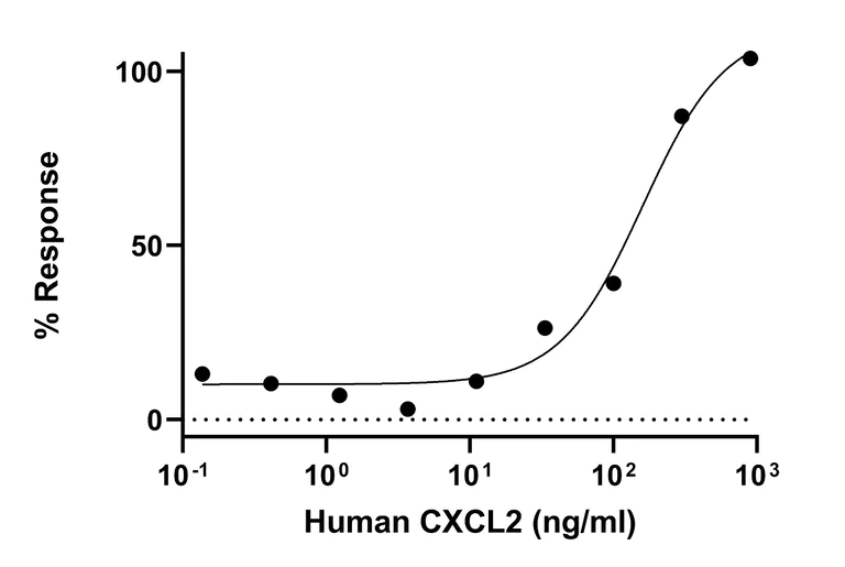 Biological Activity - Recombinant Human CXCL2 Protein (Active) (AB307353)