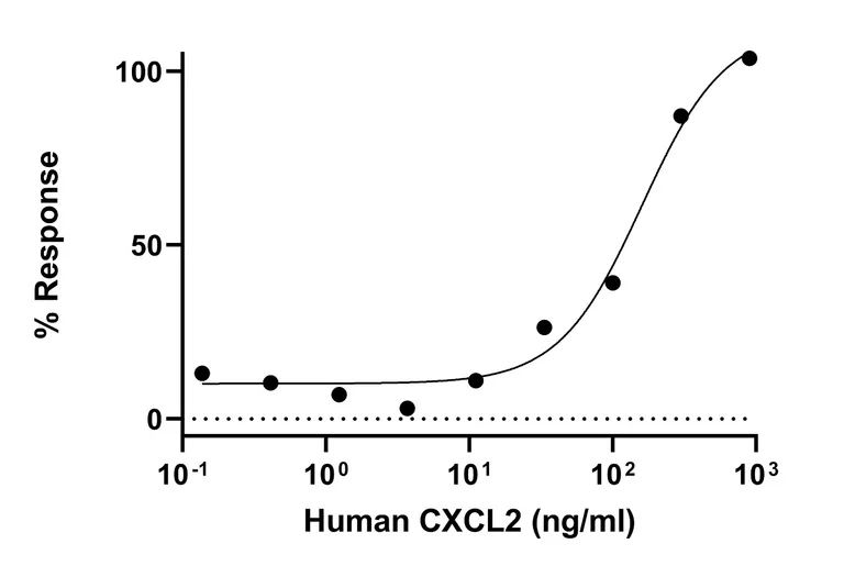 Functional Studies - Recombinant Human CXCL2 Protein (Active) (AB307353)