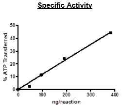 Functional Studies - Recombinant human Cyclin D3/CCND3 + Cdk4 protein (Active) (AB271459), expandable thumbnail