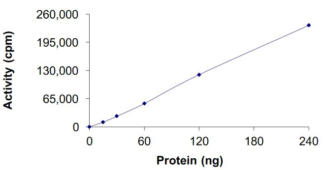 Functional Studies - Recombinant human Cyclin E2 + CDK2 protein (Active) (AB268396)
