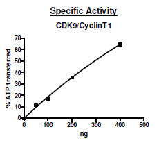 Functional Studies - Recombinant human Cyclin T1 + Cdk9 protein (Active) (AB271464)